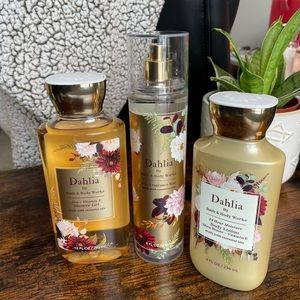 Bath & BodyWorks Bundle